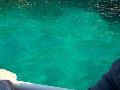 gal/Saison 2012/Cassis_et_ses_merveilleuses_calanques/_thb_105_5025.JPG